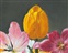 рис.4 картина тюльпаны - фрагмент  Кликните для перехода к этому слайду